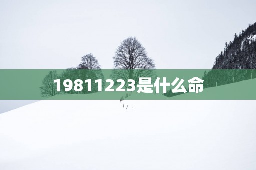 19811223是什么命