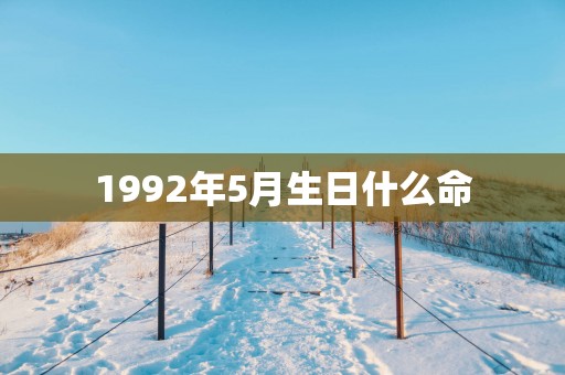 1992年5月生日什么命