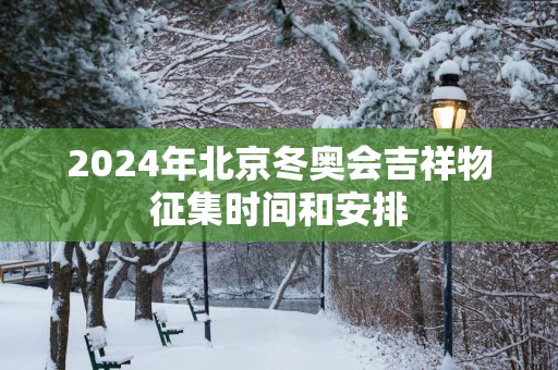 2025年北京冬奥会吉祥物征集时间和安排