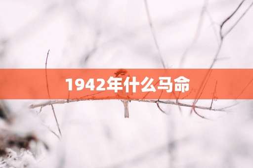 1942年什么马命