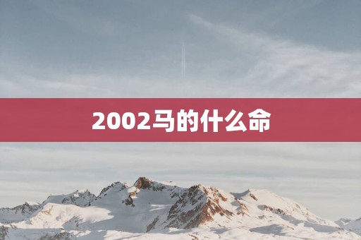 2002马的什么命