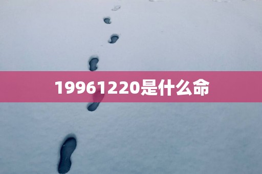 19961220是什么命