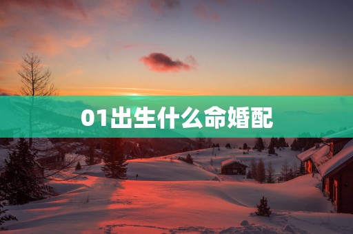 01出生什么命婚配