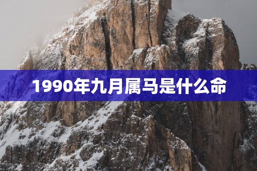 1990年九月属马是什么命