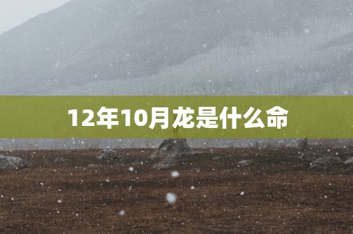 12年10月龙是什么命