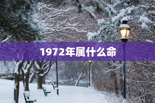 1972年属什么命