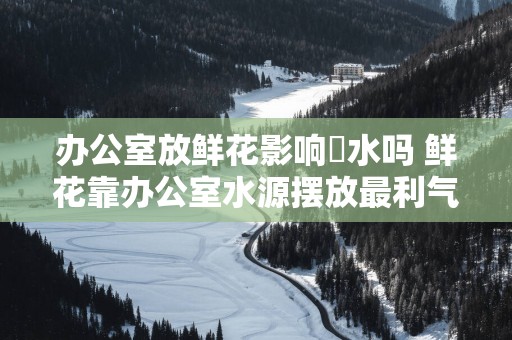 办公室放鲜花影响風水吗 鲜花靠办公室水源摆放最利气运