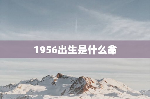 1956出生是什么命
