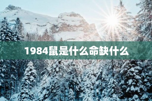 1984鼠是什么命缺什么