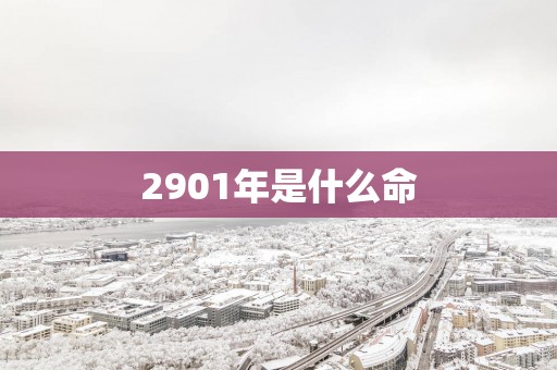 2901年是什么命