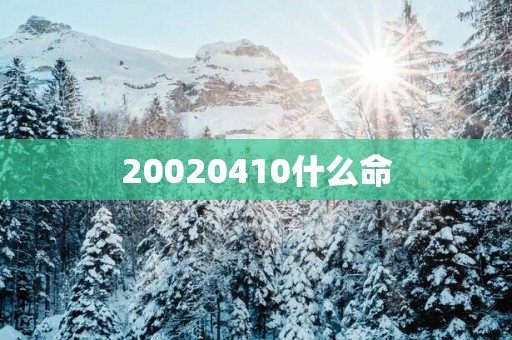 20020410什么命
