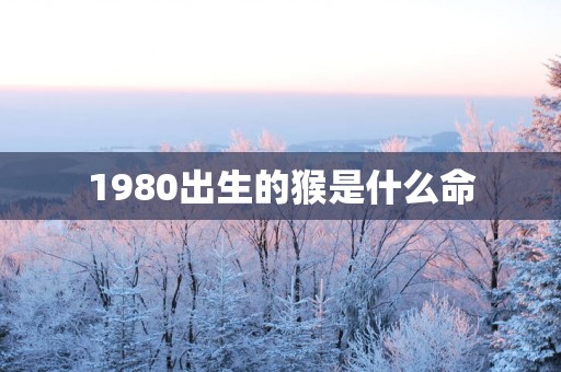 1980出生的猴是什么命