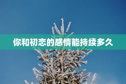 你和初恋的感情能持续多久