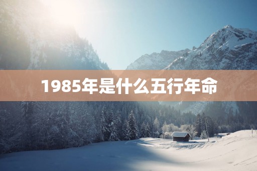 1985年是什么五行年命