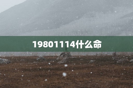 19801114什么命