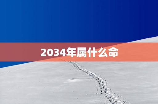2034年属什么命