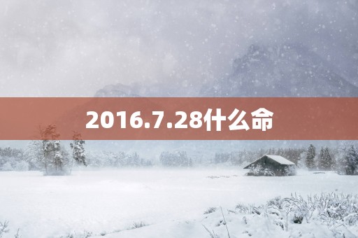 2016.7.28什么命