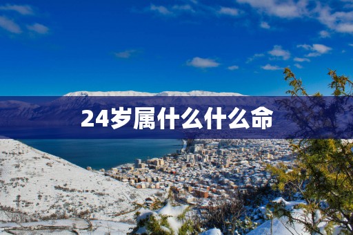 24岁属什么什么命