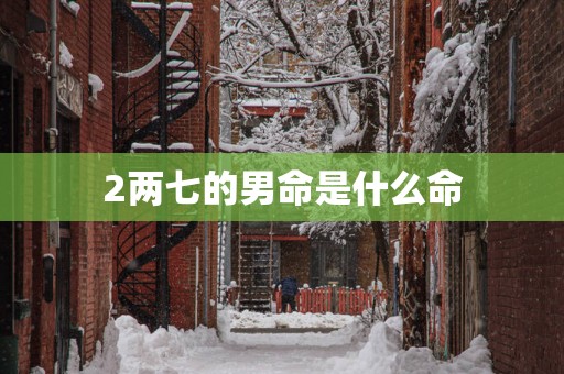 2两七的男命是什么命