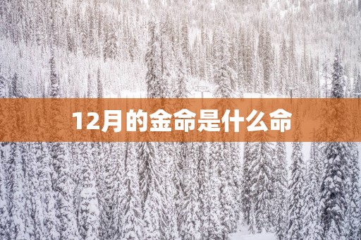 12月的金命是什么命