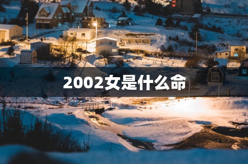 2002女是什么命