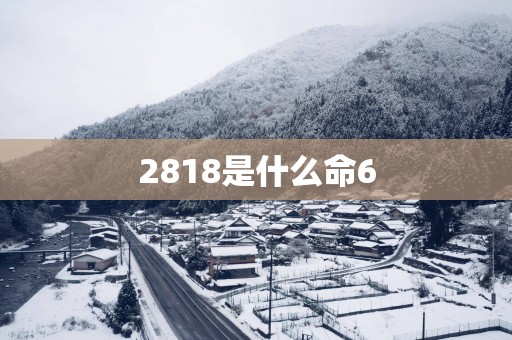2818是什么命6