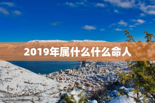2019年属什么什么命人