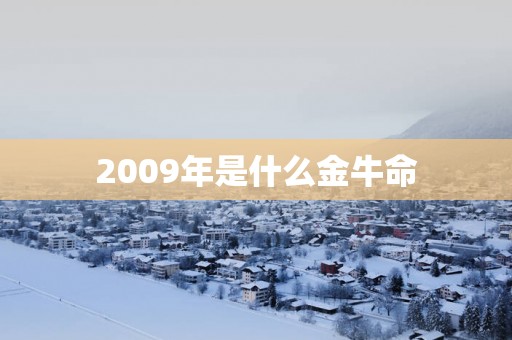 2009年是什么金牛命
