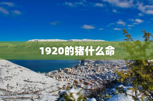 1920的猪什么命
