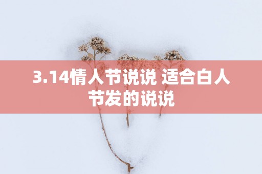 3.14情人节说说 适合白人节发的说说