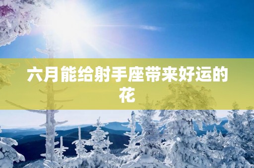 六月能给射手座带来好运的花