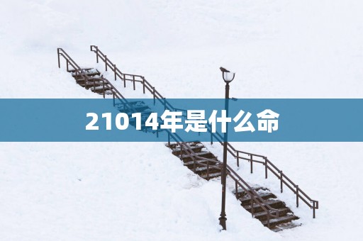 21014年是什么命