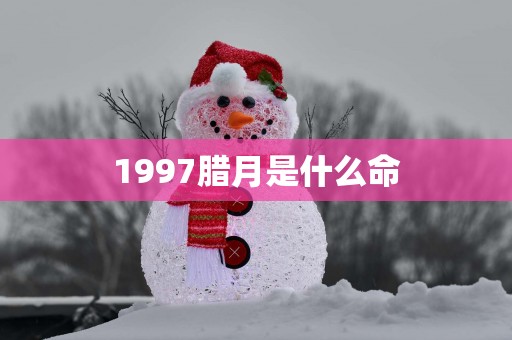 1997腊月是什么命