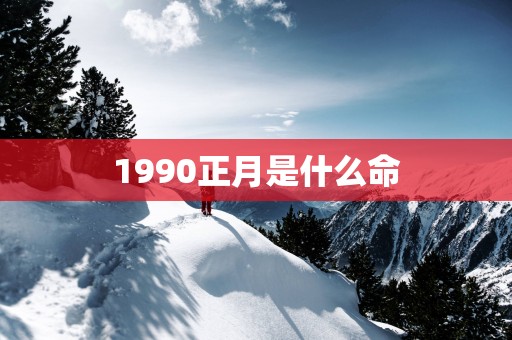 1990正月是什么命