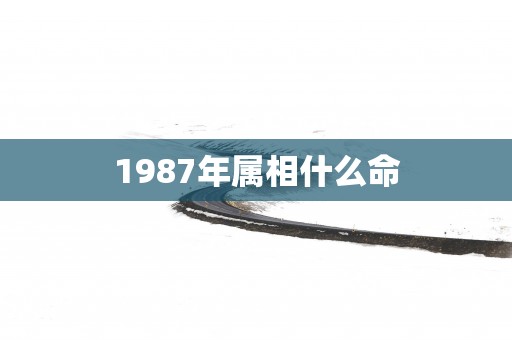 1987年属相什么命