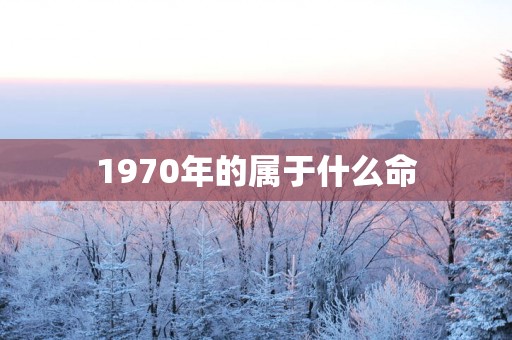 1970年的属于什么命