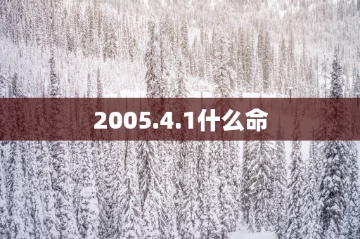 2005.4.1什么命