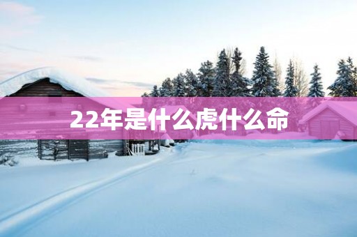 22年是什么虎什么命