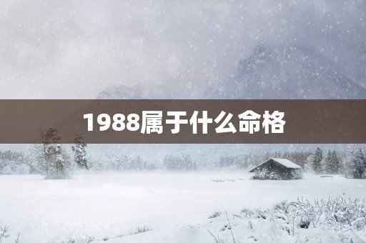 1988属于什么命格