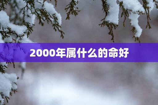 2000年属什么的命好