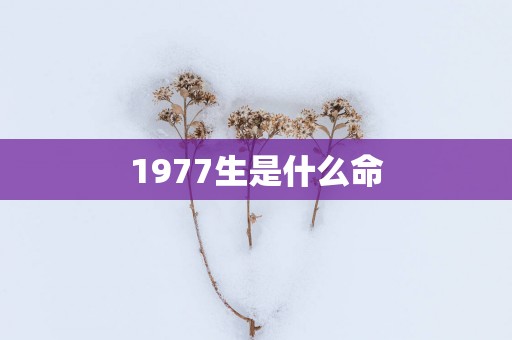 1977生是什么命