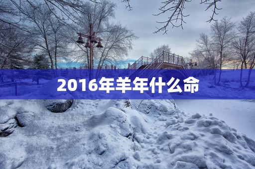 2016年羊年什么命