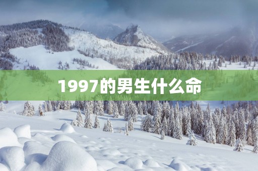 1997的男生什么命