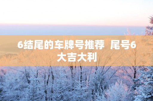 6结尾的车牌号推荐  尾号6大吉大利