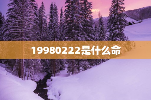 19980222是什么命