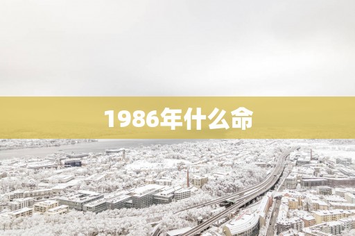 1986年什么命