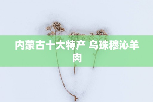 内蒙古十大特产 乌珠穆沁羊肉