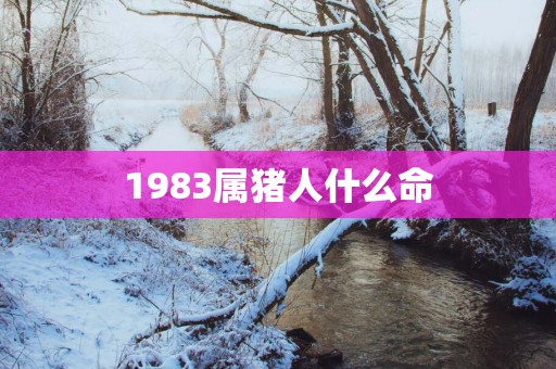 1983属猪人什么命