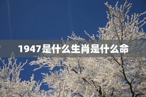 1947是什么生肖是什么命