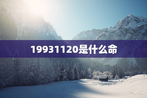 19931120是什么命